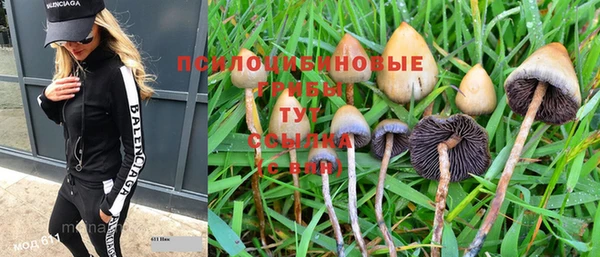 гидра Абдулино
