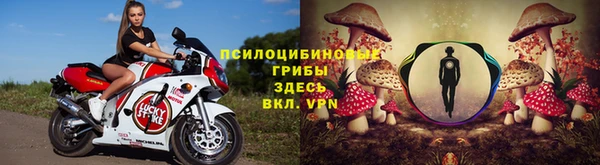 гидра Абдулино